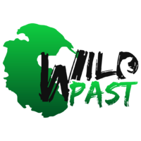 wildpast_studio