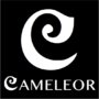 Cameleor3D