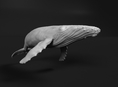 Cart Item (Humpback Whale 1:87 Swimming Female) Thumbnail