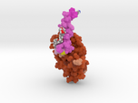 Victoza in Complex with GLP-1 Receptor 4ZGM
