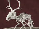 Wolpertinger Skeleton