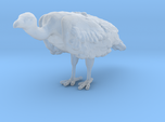 White-Backed Vulture 1:24 Standing 1