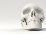 Realistic Human Skull (40mm H)