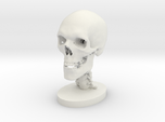 1/4 Scale Human Skull
