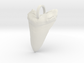 Megalodon Shark Tooth in White Natural Versatile Plastic