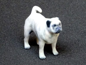 Standing Fawn Pug in Full Color Sandstone