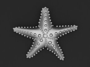  Starfish in Aluminum