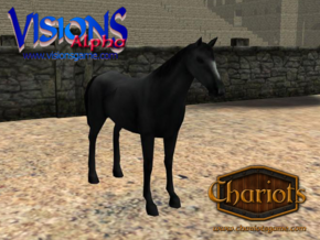 Horse Black in Full Color Sandstone