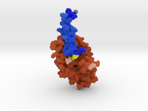 GLP-1 in Complex with GLP-1 Receptor 1DOR in Full Color Sandstone
