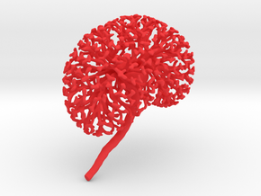 Medium Kidney Ureteric Tree (Mountable) in Red Processed Versatile Plastic