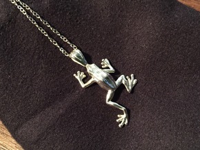 Poison Arrow Frog Pendant in Polished Silver