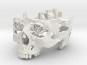 Skull EYES Only (No Jaw Or Skull Cap) in White Natural Versatile Plastic