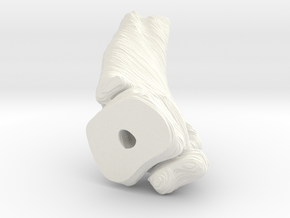 Bone in White Processed Versatile Plastic