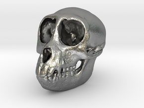 SPIDER MONKEY SKULL - ACTUAL SIZE in Natural Silver