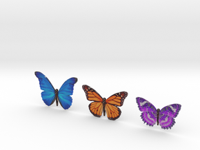 3 Butterflies in Full Color Sandstone