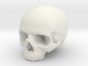 Skull    30mm width in White Natural Versatile Plastic
