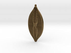 Navicula bullata Pendant ~ 46mm tall (1.8 inches) in Polished Bronze