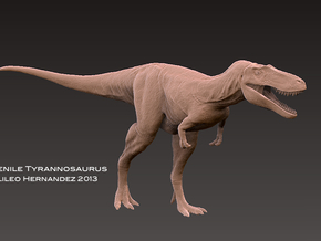 Juvenile Tyrannosaurus " Jane" 1:35 v1 in White Natural Versatile Plastic