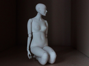 Ball Jointed Doll (One Piece Head) in White Natural Versatile Plastic