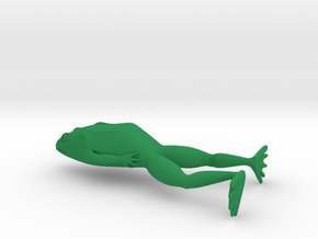 Frog in Green Processed Versatile Plastic