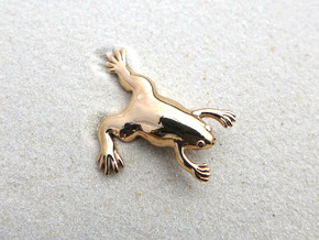 Xenopus Lapel Pin - Science Jewelry in Polished Bronze