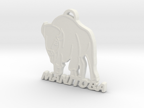 Manitoba Bison in White Natural Versatile Plastic: Small