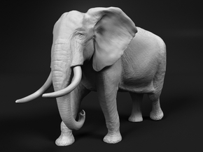 African Bush Elephant 1:48 Walking Male in White Natural Versatile Plastic