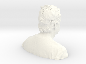 Heres Phroghollow 2 in White Processed Versatile Plastic