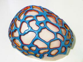 Cranial Net in Full Color Sandstone