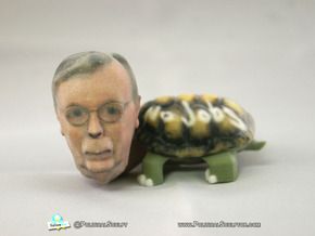 Sen.Mitch McConnell (R-Ky.) Turtle Inaction Figure in Full Color Sandstone