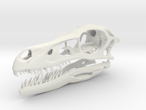 1:2 Velociraptor mongoliensis Skull and Jaw in White Natural Versatile Plastic