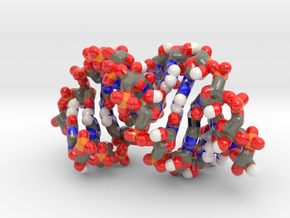 RNA helix - polynucleotide molecule in Glossy Full Color Sandstone