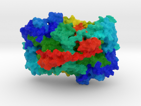 Vascular Cell Adhesion Protein  in Full Color Sandstone