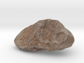 Trilobite - Fossil in Full Color Sandstone