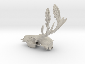 Rite of Spring- Deer Skull in Natural Sandstone