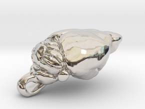 Mouse Brain Pendant (1:1, anatom. accurate) in Rhodium Plated Brass