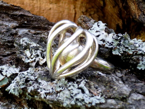Heart Cage Ring in Polished Silver