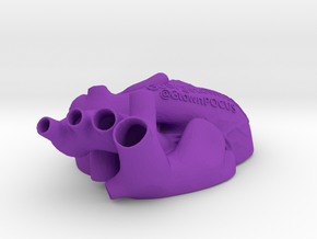 Apical 4 chamber, Subcostal, TOP in Purple Processed Versatile Plastic
