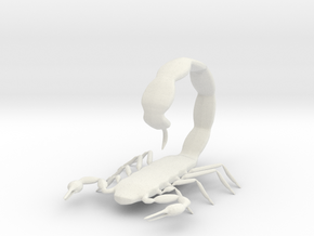 scorpion tail up in White Natural Versatile Plastic