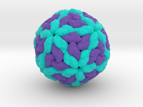 Leishmania RNA Virus in Natural Full Color Sandstone