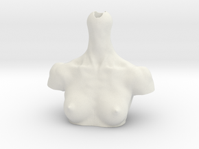 girl-manikin-natural chest in White Natural Versatile Plastic