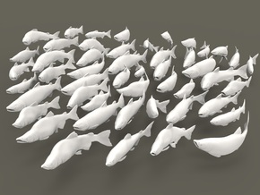 Pacific Salmon 1:35 Set of 50 unique models in Tan Fine Detail Plastic
