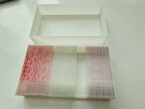 Microscope Slide Storage Box in White Natural Versatile Plastic