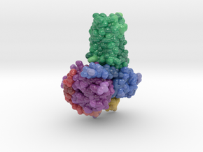 Adenosine A2A Receptor Complex 6GDG in Glossy Full Color Sandstone: Extra Small