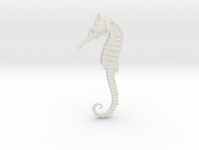 Sea horse, Seepferd, sea-horse in White Natural Versatile Plastic