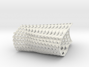 Ribbon Pavilllion in White Natural Versatile Plastic