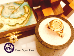 P O W E R Signet Ring - Small in 14K Yellow Gold: 7 / 54