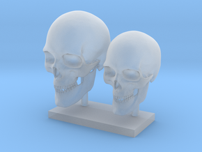 Skull - 2 pcs 20-23 mm 1:8 in Clear Ultra Fine Detail Plastic