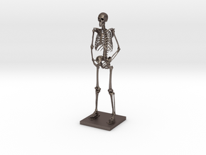 6" Desktop Skeleton in Polished Bronzed Silver Steel