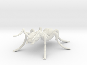 ant_worker in White Natural Versatile Plastic
